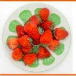 Set 100 Túi Gấu Bọc Thực Phẩm An Toàn Tiện Dụng