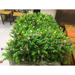 COMBO 20 tấm cỏ treo tường loại 1