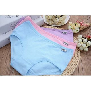Quần lót cotton Pulo