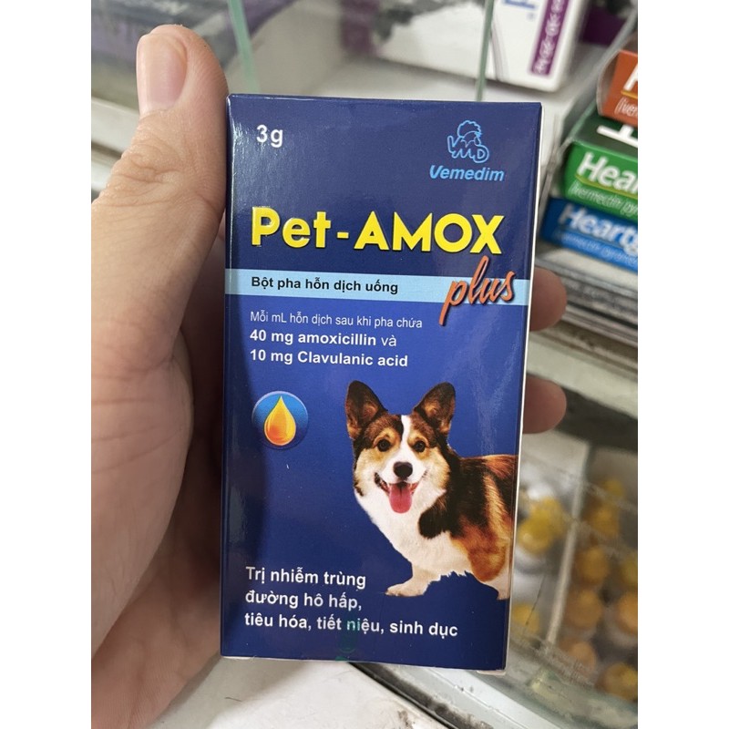 Bột pha Pet Amox Plus tác dụng hô hấp, tiết niệu chó mèo