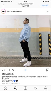 Pass áo ww fullzip sweater Gamble local brand