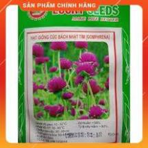 HẠT GIỐNG CÚC BẠCH NHẬT TÍM GÓI 50 HẠT