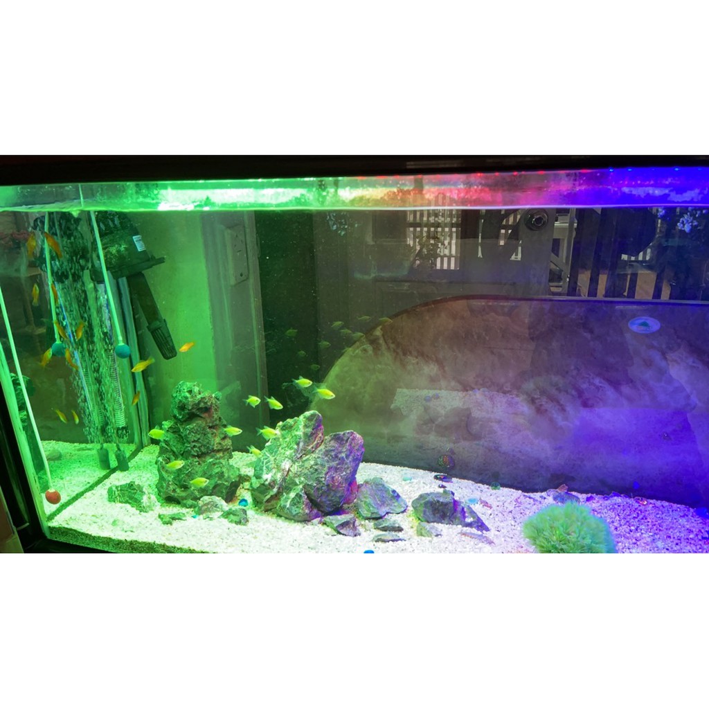 Đèn led chìm hồ cá 80cm