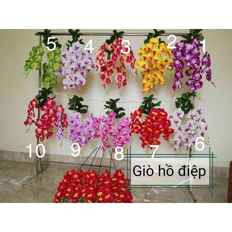 Giò Lan Hồ Điệp treo tường 5 nhánh