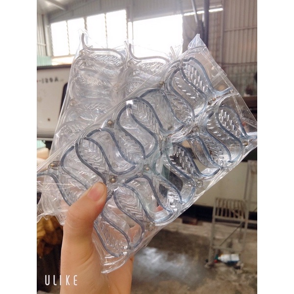 Set 12 kẹp càng cua 3 răng