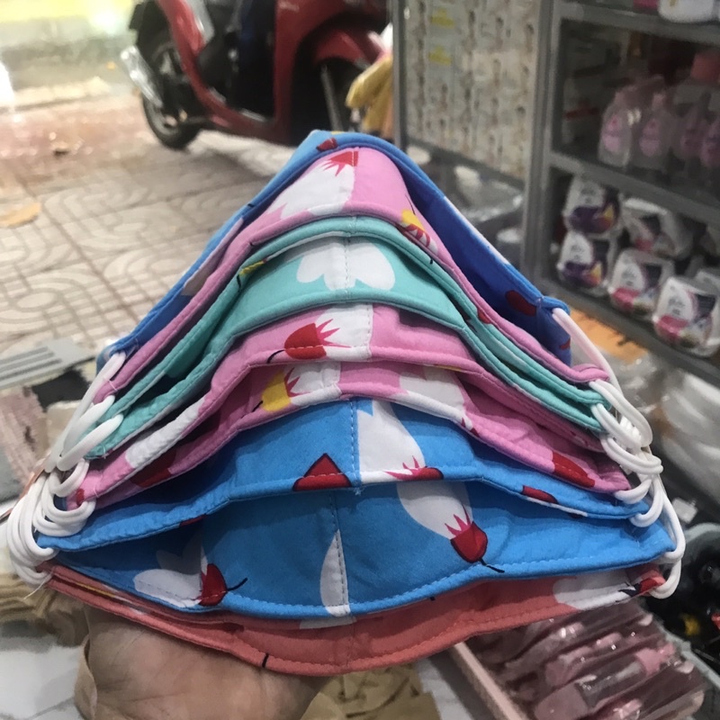 1 cái Khẩu Trang Nữ 2 Lớp(màu ngẫu nhiên)