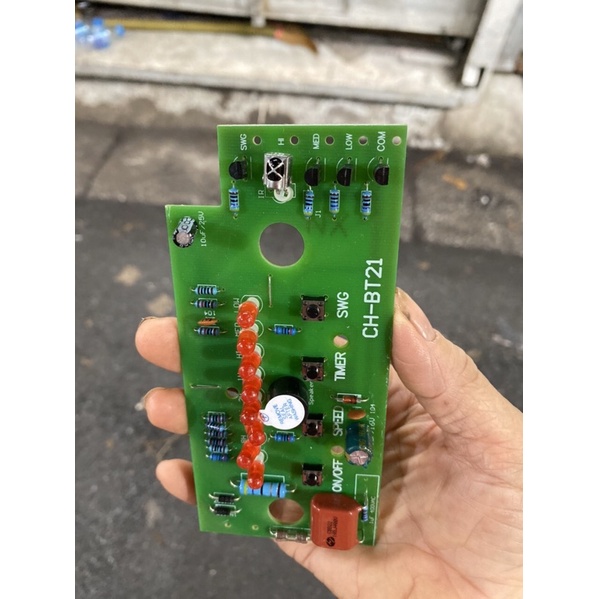 Mạch quạt cây chinghai