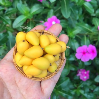 Xoài chín thu nhỏ bằng đất sét