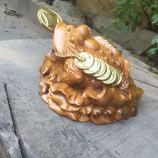 Thiềm thừ gỗ bách xanh thơm
