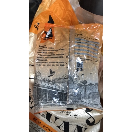 Khoáng viên đỏ chim cu gáy, chim sinh sản