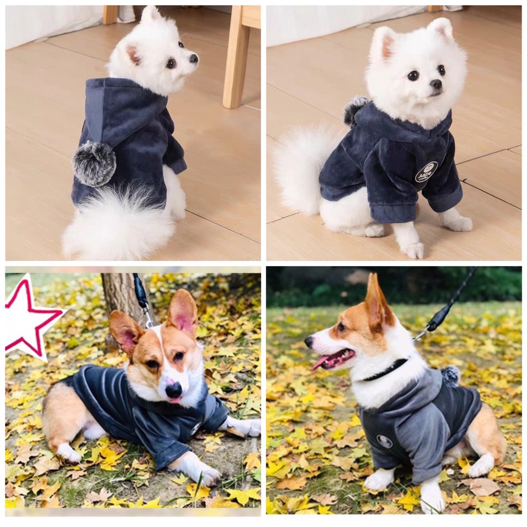 [ LOẠI 1 ] Quần áo hoodie cho thú cưng giữ ấm thu đông sang trọng cao cấp