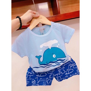 Bộ xuất hàn cotton bé trai bé gái size 8-25kg