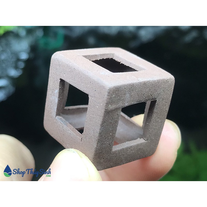 Đồ chơi cubic gốm sứ 21mm cho tép cảnh