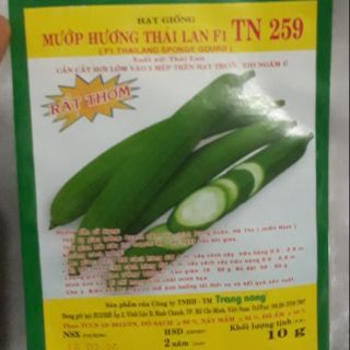 hạt giống mướp hương 10g siêu thơm ngon siêu sai quả
