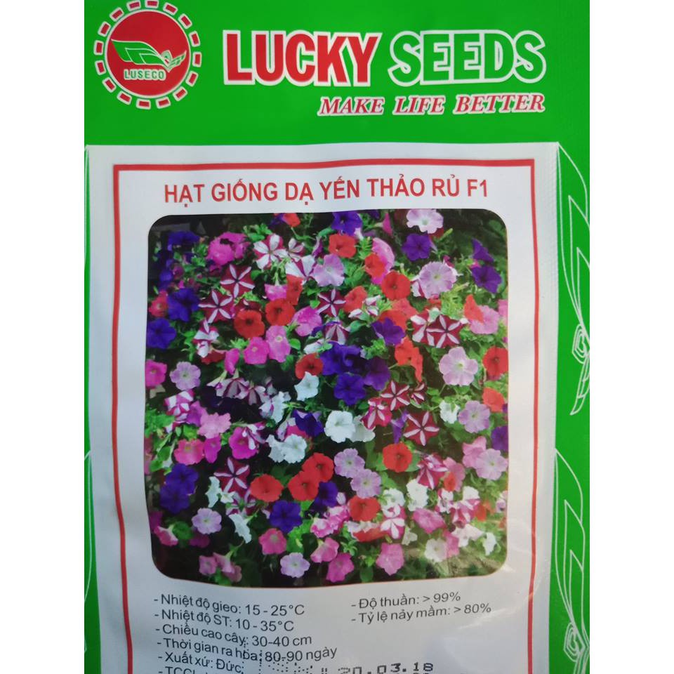 Cung Cấp Hạt Giống Hoa Dạ Yến Thảo Rủ F1 LUCKY SEEDS -20 hạt hạt đẹp