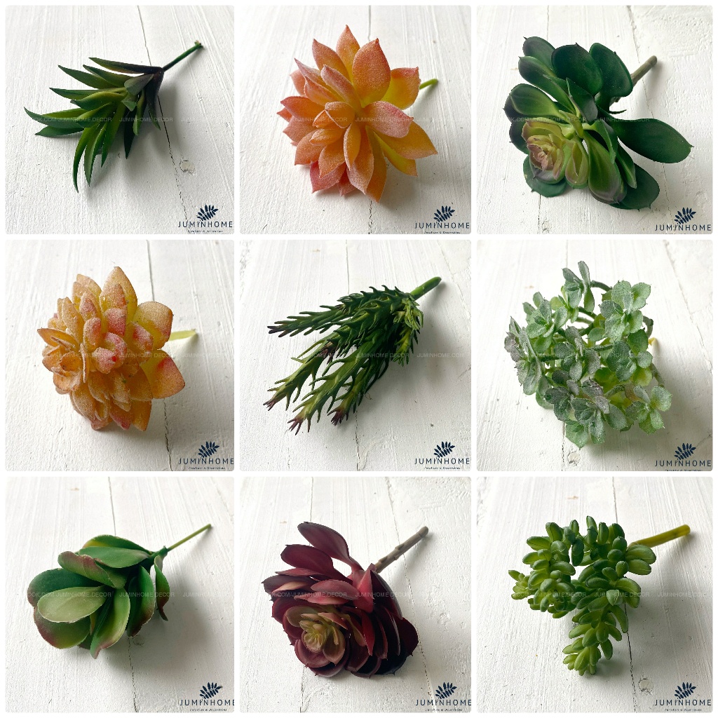 Cây Xương Rồng giả Trang trí Nội thất Sen đá, Xương rồng giả decor trang trí nhà cửa chậu hoa giả trang trí