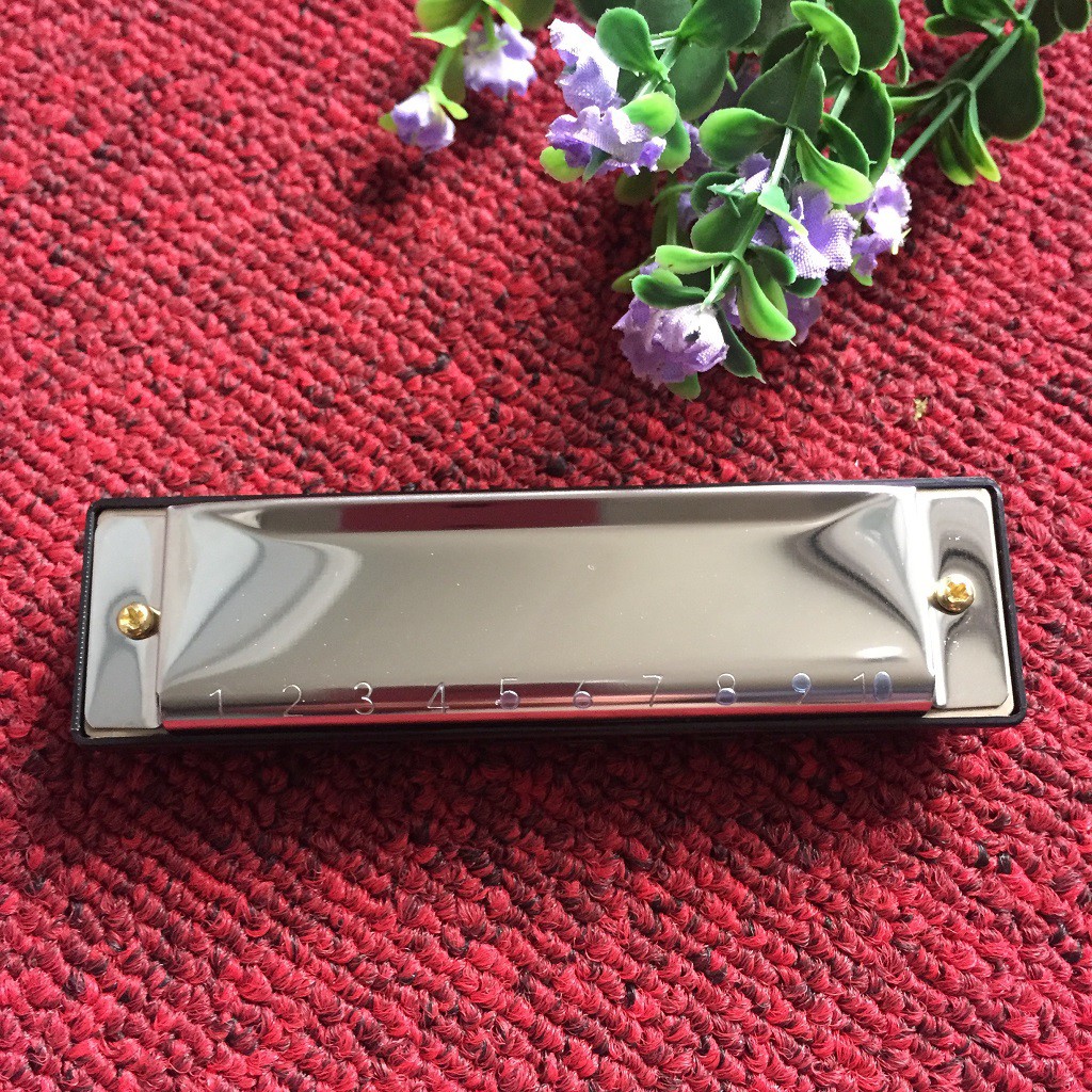 KÈN HARMONICA DIATONIC 10 LỖ GIÁ RẺ CHO NGƯỜI MỚI HỌC KÈM HỘP ĐỰNG