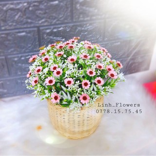 [GIẢM GIÁ] 100 Nhị Lông 0.8cm