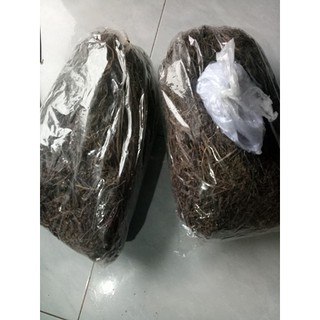 cây sương sáo khô làm thạch đen