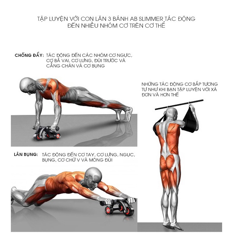 Con lăn tập cơ bụng 4 bánh có vân chống trượt, dụng cụ tập gym