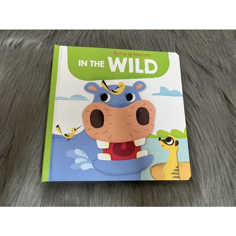 MY POP-UP ADVENTURES IN THE WILD