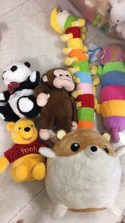 Combo hamster+sâu+khỉ+gấu trúc
