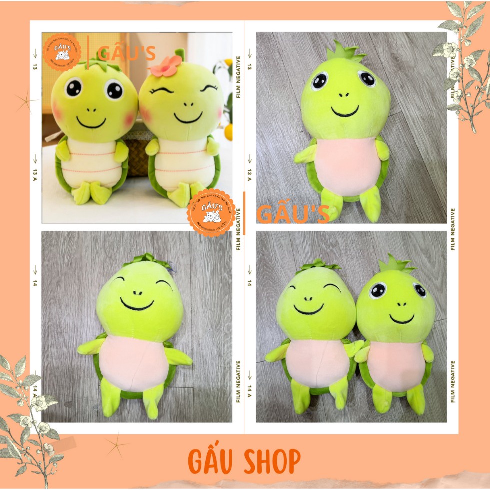 GẤU BÔNG RÙA CON DỄ THƯƠNG - GẤU SHOP