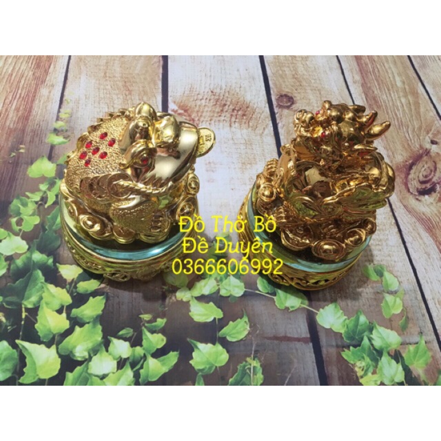 Ông Tỳ Hưu + Ông Cóc vàng