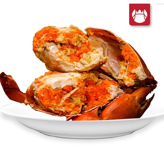 Vua Cua - Combo 2 con cua gạch (giao sống)