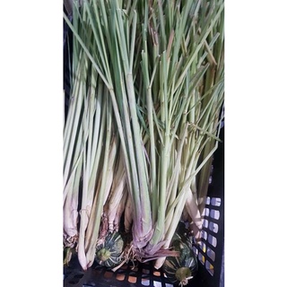 Sả Tươi Nguyên Cây(1kg)