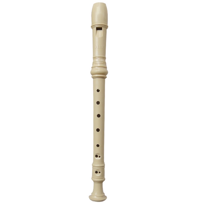 50 SÁO RECORDER DHS 8 LỖ