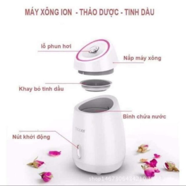 Máy Xông Mặt Hoa Quả Thảo Dược Cao Cấp