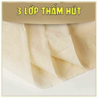 KHĂN GIẤY GẤU TRÚC SIPIAO