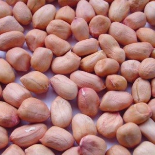 Đậu phộng sống 100g