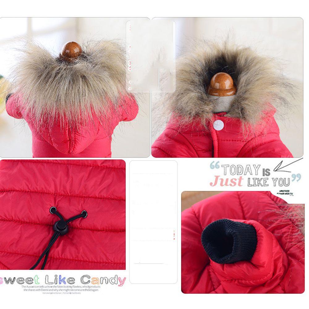 Áo Khoác Giữ Ấm Cho Thú Cưng LAYOR1