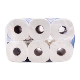 Giấy Vệ Sinh Watersilk Bịch 12 Cuộn
