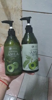 Dầu gội amla