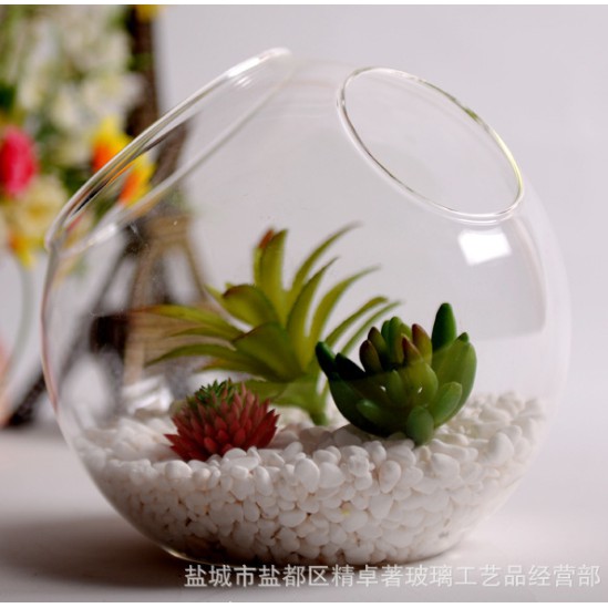 Chậu kiểng thủy tinh C2L