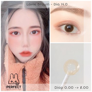 (Giá 1 Chiếc) 14.0 (0.00->8.00) Lens Lavie Brown - Kính Áp Tròng