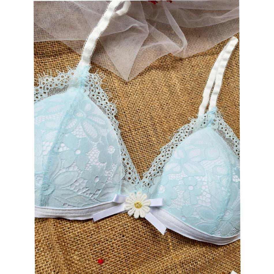 🌺 SIÊU SALE 🌺 Bộ đồ lót cúc họa mi vải lông mi xanh | BigBuy360 - bigbuy360.vn