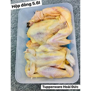 Hộp trữ đông Tupperware 5.6L