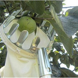 Dụng cụ hái trái cây