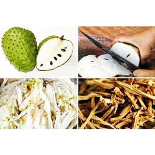 Trà mãng cầu xiêm sấy khô, rang thơm, bịch 200gr, 500gr