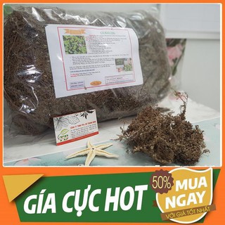 Combo 2Kg Cây Hàn The - Cây Thuốc Quý Thanh Bình