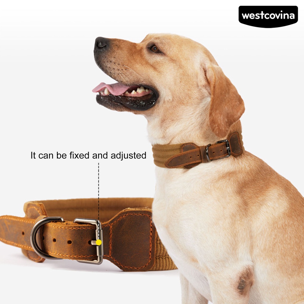 [Mới]♞Vòng Cổ Giả Da Thoáng Khí Có Thể Điều Chỉnh Cho Thú Cưng