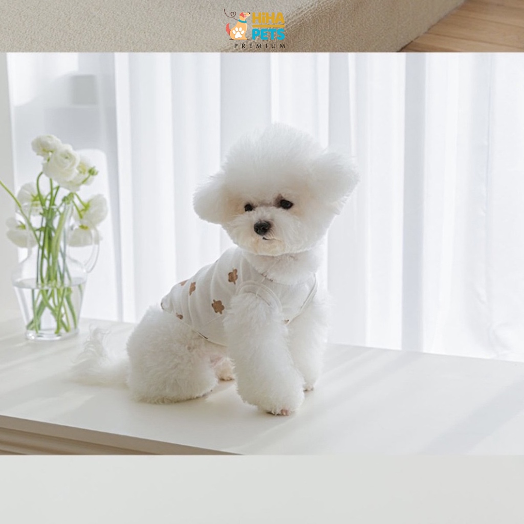 Áo Thun Cho Chó Mèo Hàn Quốc Quần Áo Thú Cưng Thời Trang Premium Hiha Pets.