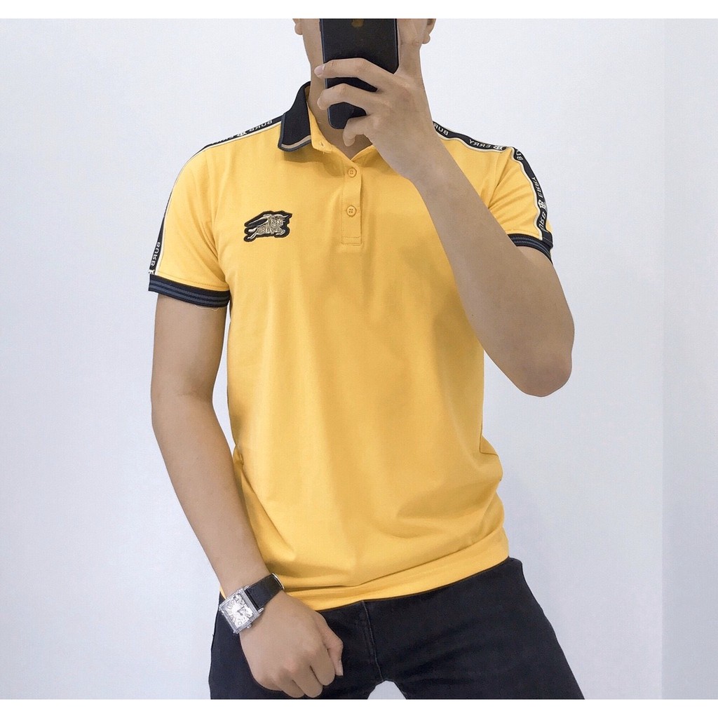 Áo polo nam ngắn tay 5 màu có cổ chất liệu cotton 100%
