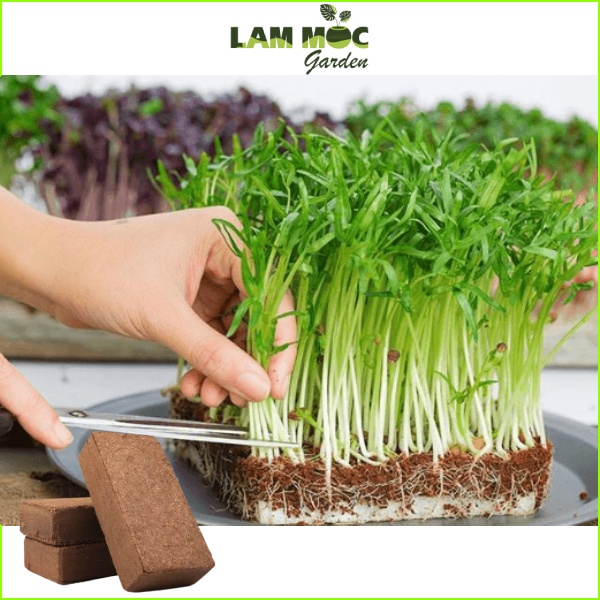 Xơ Dừa Hữu Cơ Nén Viên 650 Gram - Ngâm nở 4-5 Ký