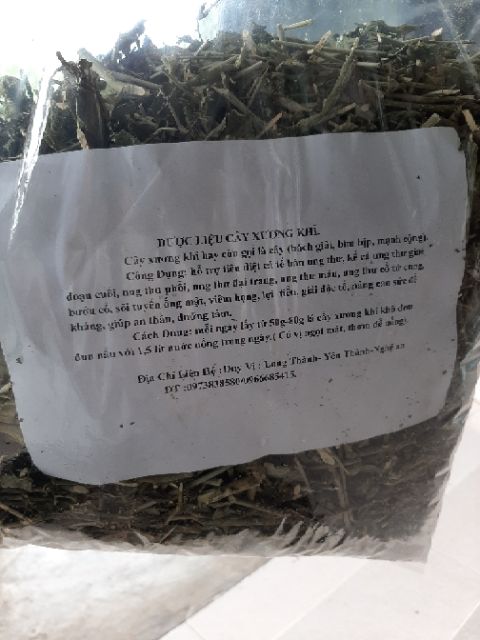 Cây bìm bip (xương khỉ 1 kg) | BigBuy360 - bigbuy360.vn