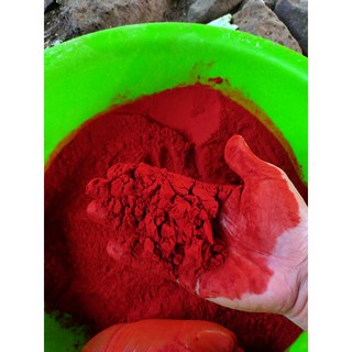 NGHỆ ĐỎ NGUYÊN CHẤT CHO GÀ